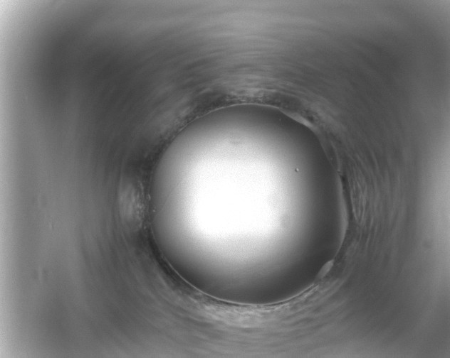 X0000054450040200508051936