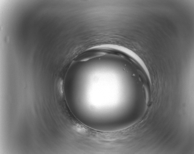 X0000054450041200508051936