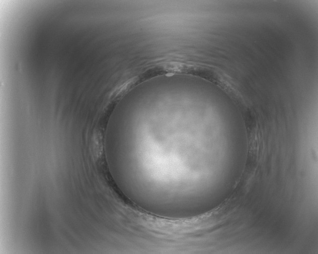 X0000054450043200508051936