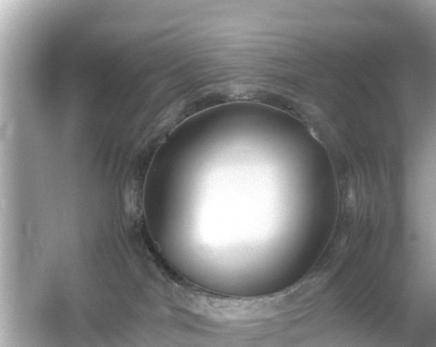 X0000054450044200508051936