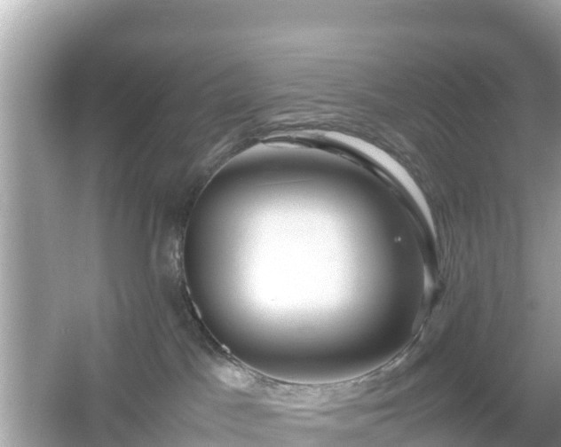X0000054450045200508051936
