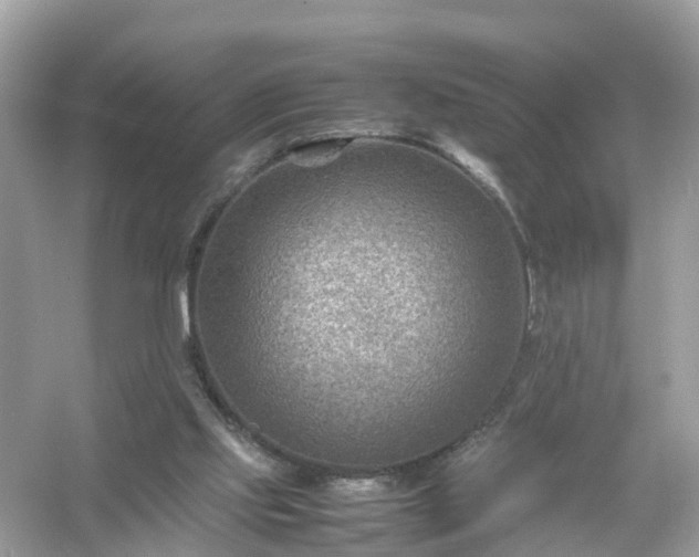 X0000054450061200508051935