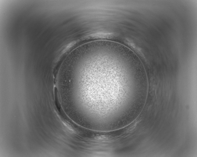 X0000054450062200508051935