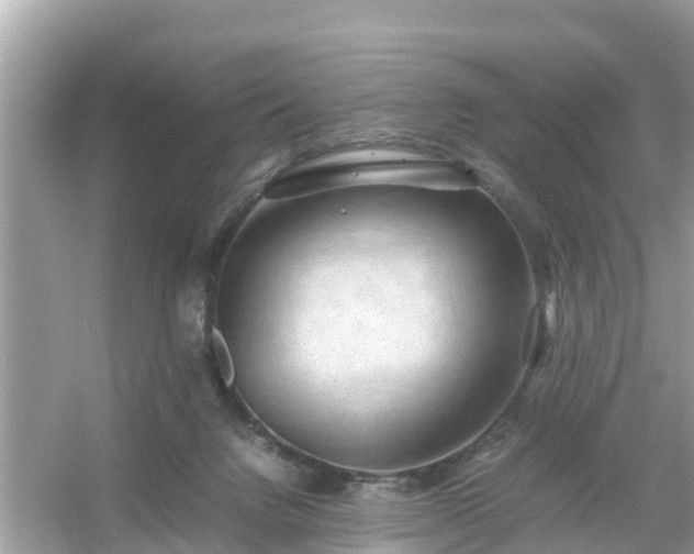 X0000054450072200508051936