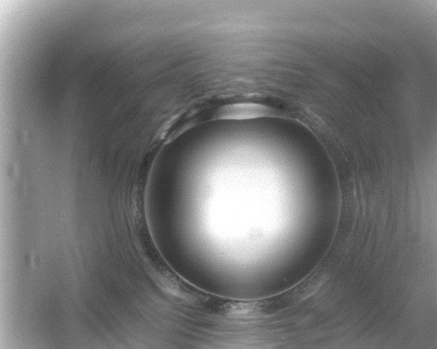 X0000054450088200508051936