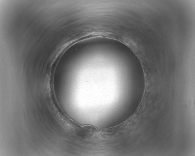 X0000054450098200508051935