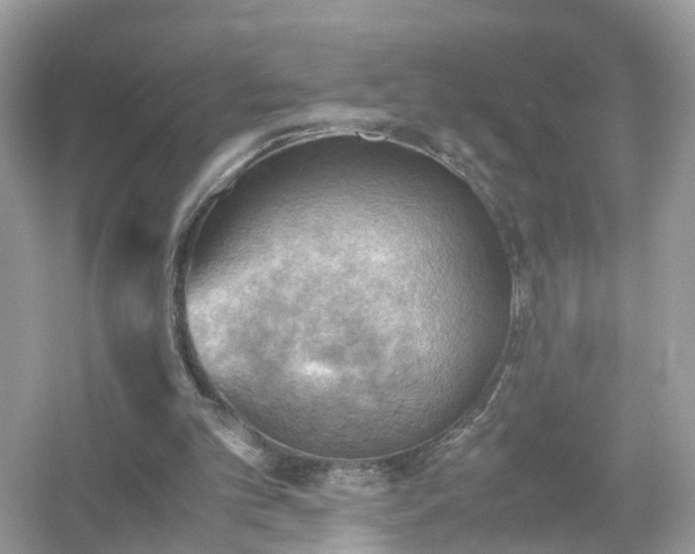 X0000054450101200508051935