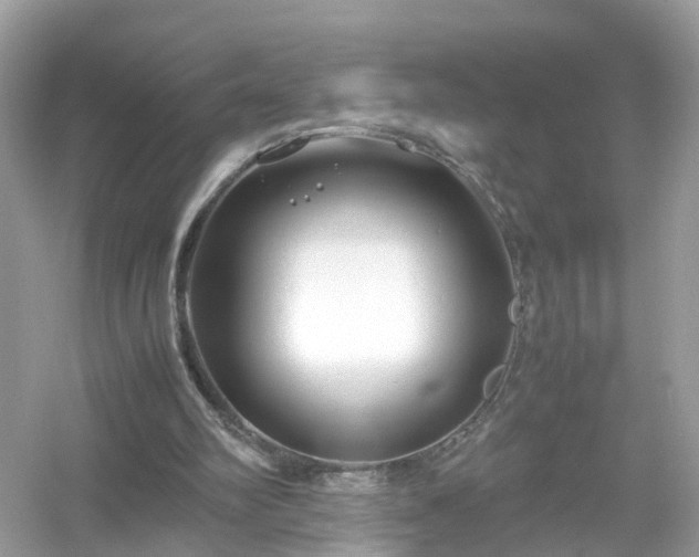 X0000054450102200508051935