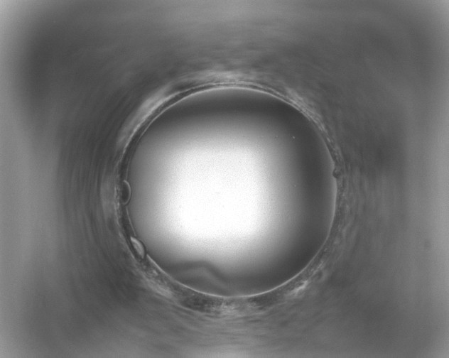 X0000054450103200508051935