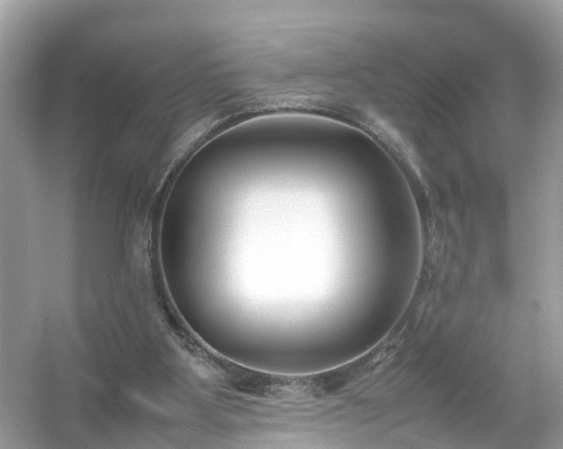 X0000054450107200508051935
