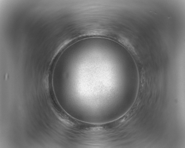 X0000054450108200508051935