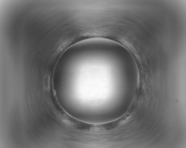 X0000054450109200508051935