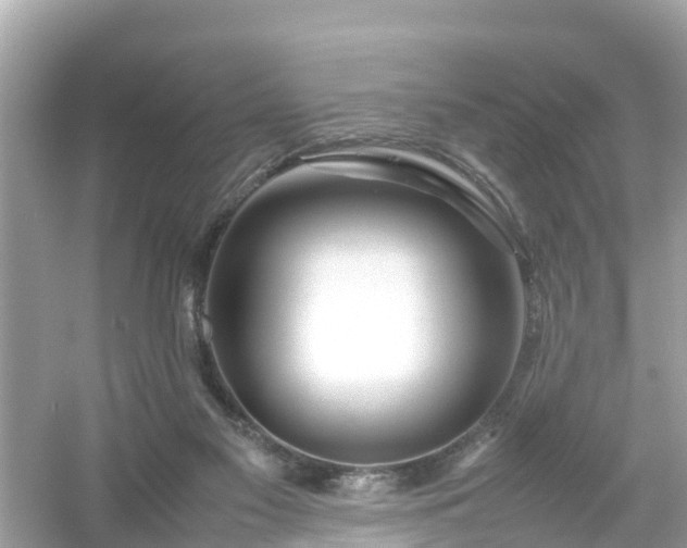X0000054450117200508051935