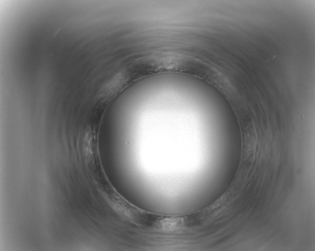 X0000054450126200508051935
