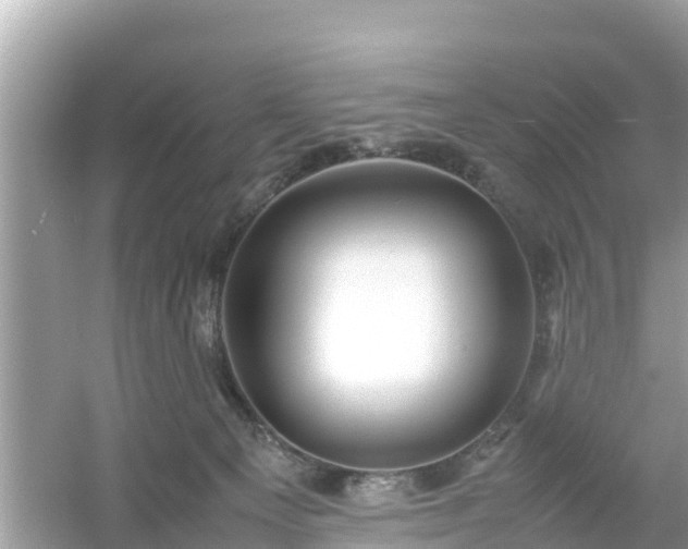 X0000054450129200508051935