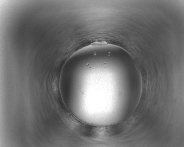 X0000054450131200508051935
