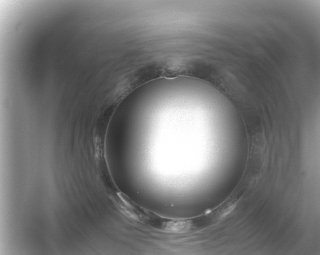 X0000054450135200508051935