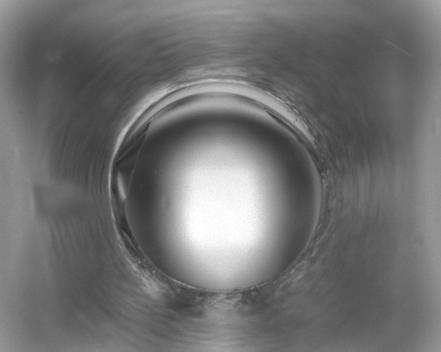 X0000054450148200508051934