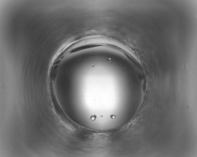 X0000054450150200508051934