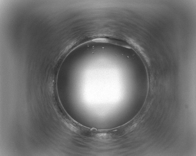 X0000054450153200508051934