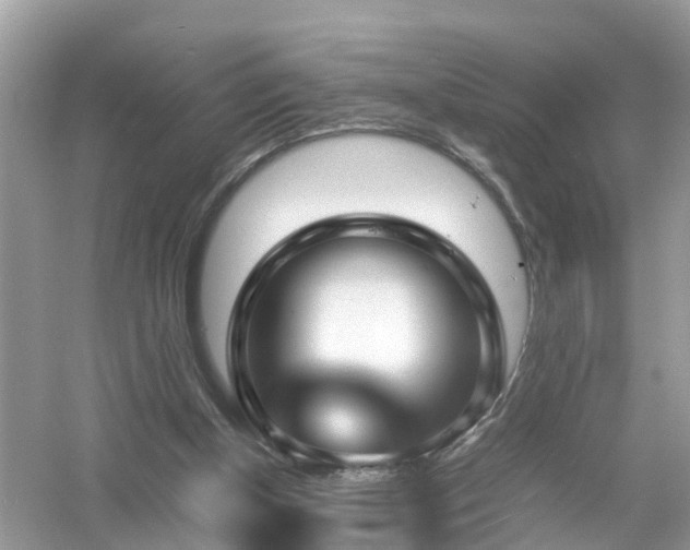 X0000054450154200508051934