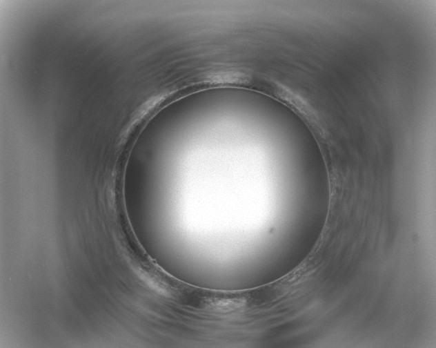 X0000054450155200508051934