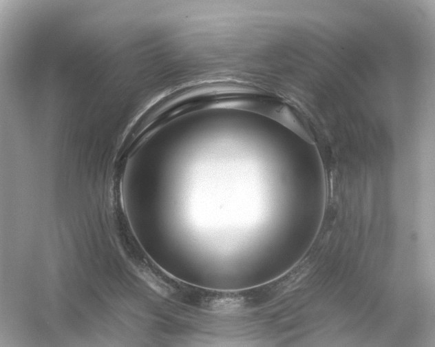 X0000054450156200508051934