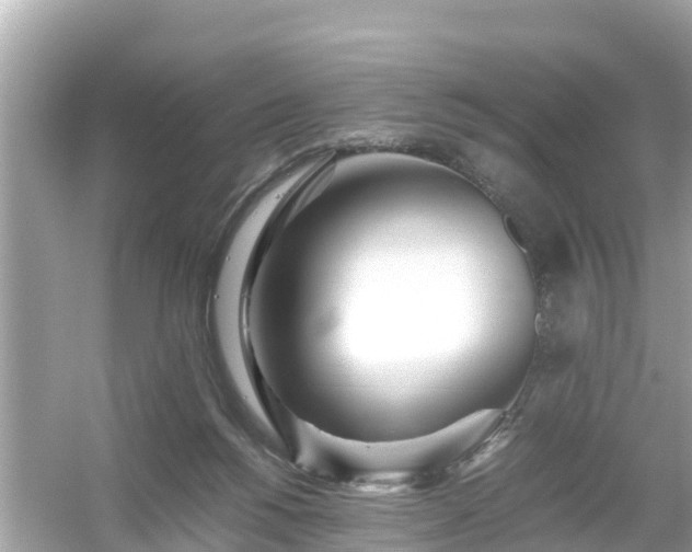 X0000054450168200508051934