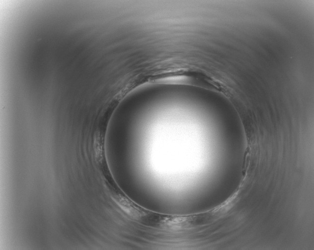 X0000054450186200508051934