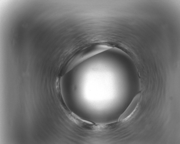 X0000054450192200508051934