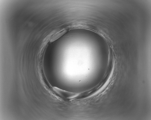 X0000054450193200508051934