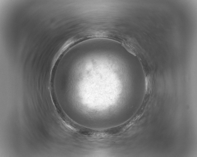 X0000054450195200508051934