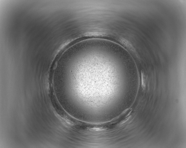 X0000054450204200508051933