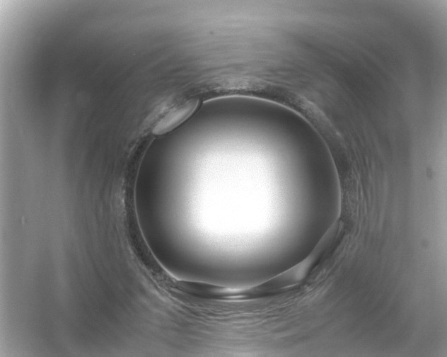 X0000054450207200508051933