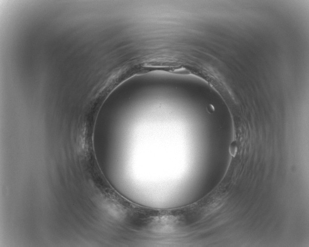 X0000054450212200508051933