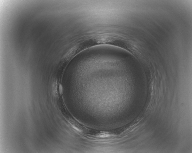 X0000054450219200508051933