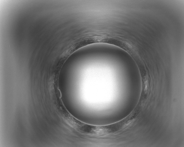 X0000054450221200508051933