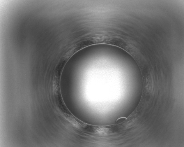 X0000054450226200508051933