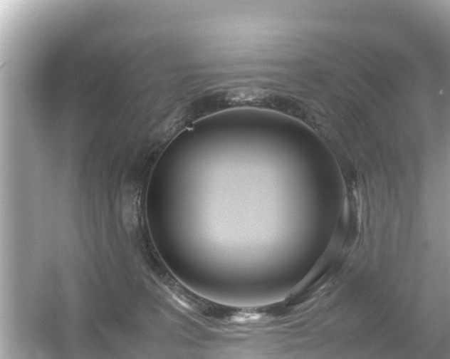 X0000054450227200508051933