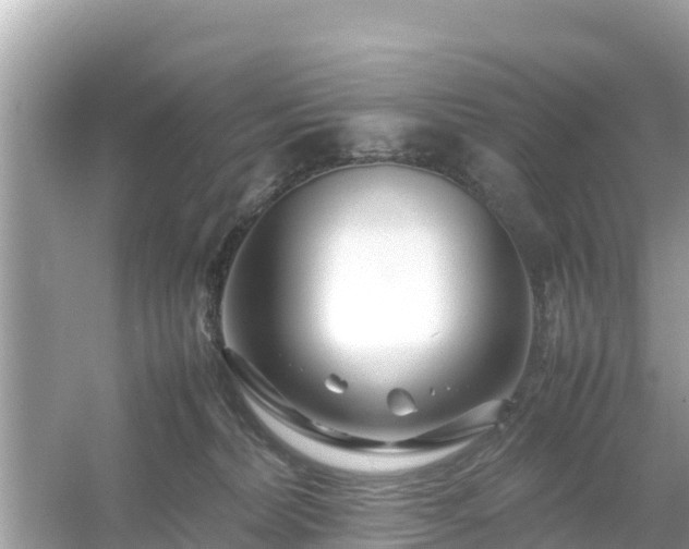 X0000054450228200508051933