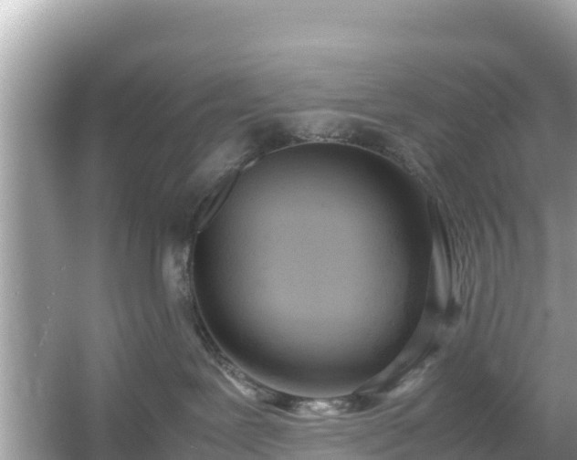 X0000054450239200508051933