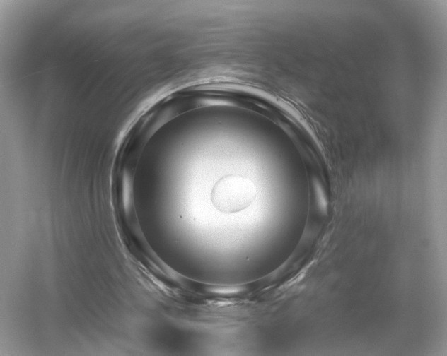 X0000054450244200508051932
