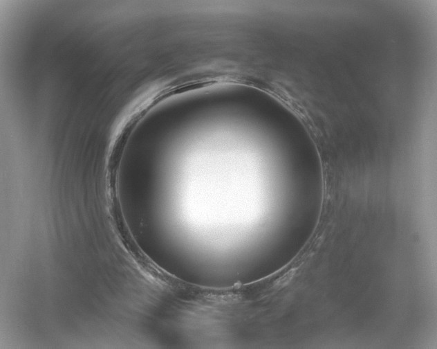 X0000054450245200508051932