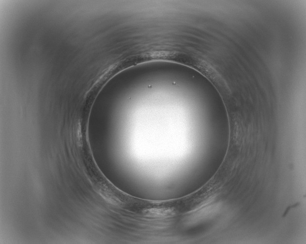 X0000054450251200508051932