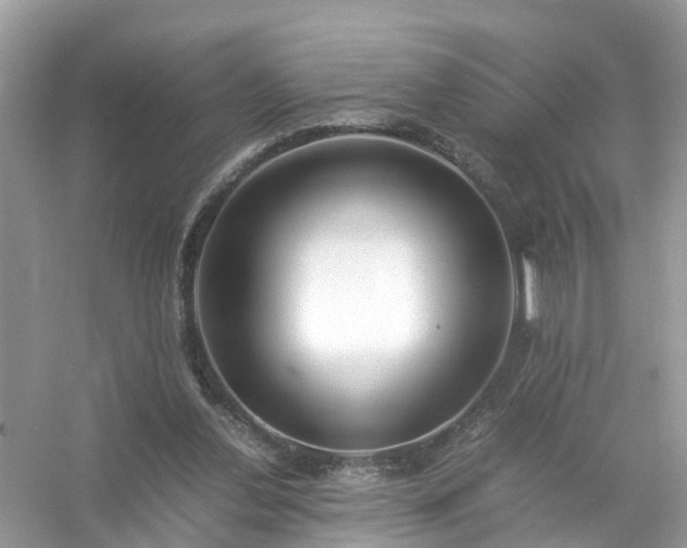 X0000054450252200508051932