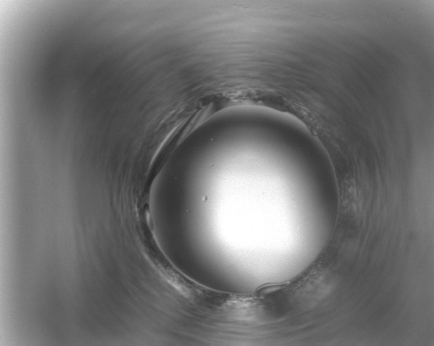X0000054450280200508051933