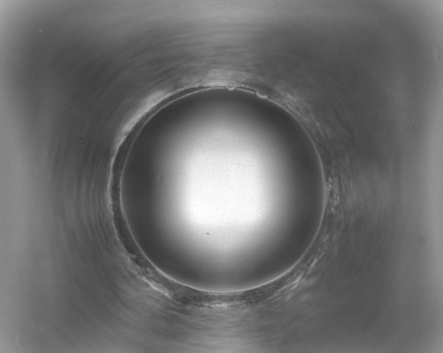 X0000054450292200508051932