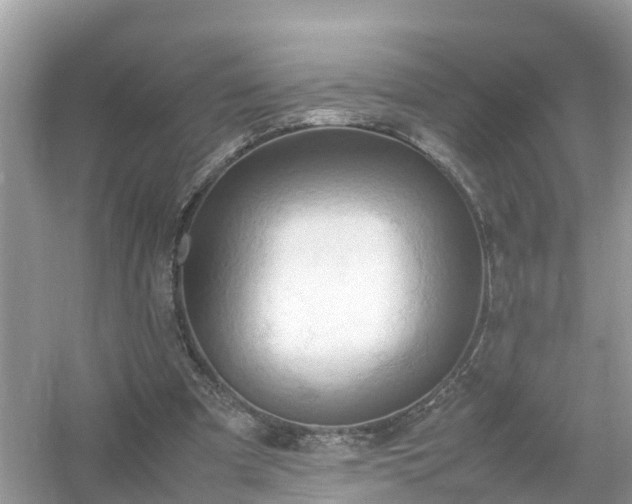 X0000054450297200508051932