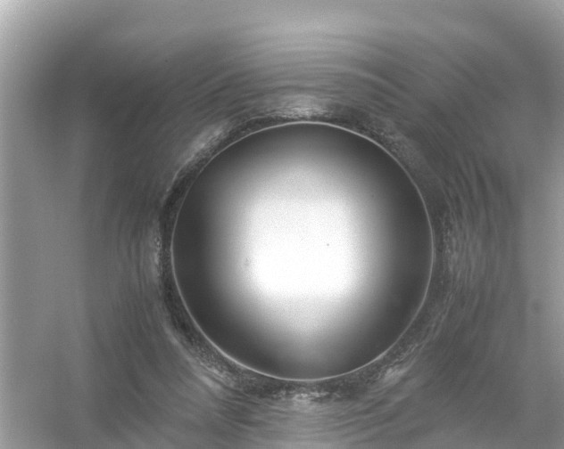 X0000054450304200508051932