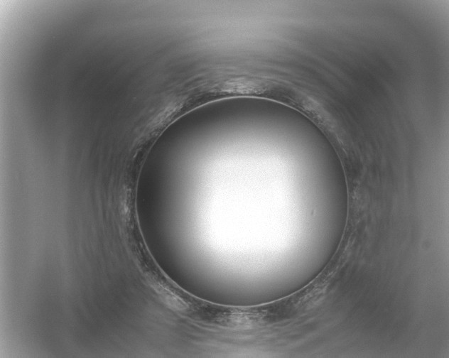 X0000054450305200508051932